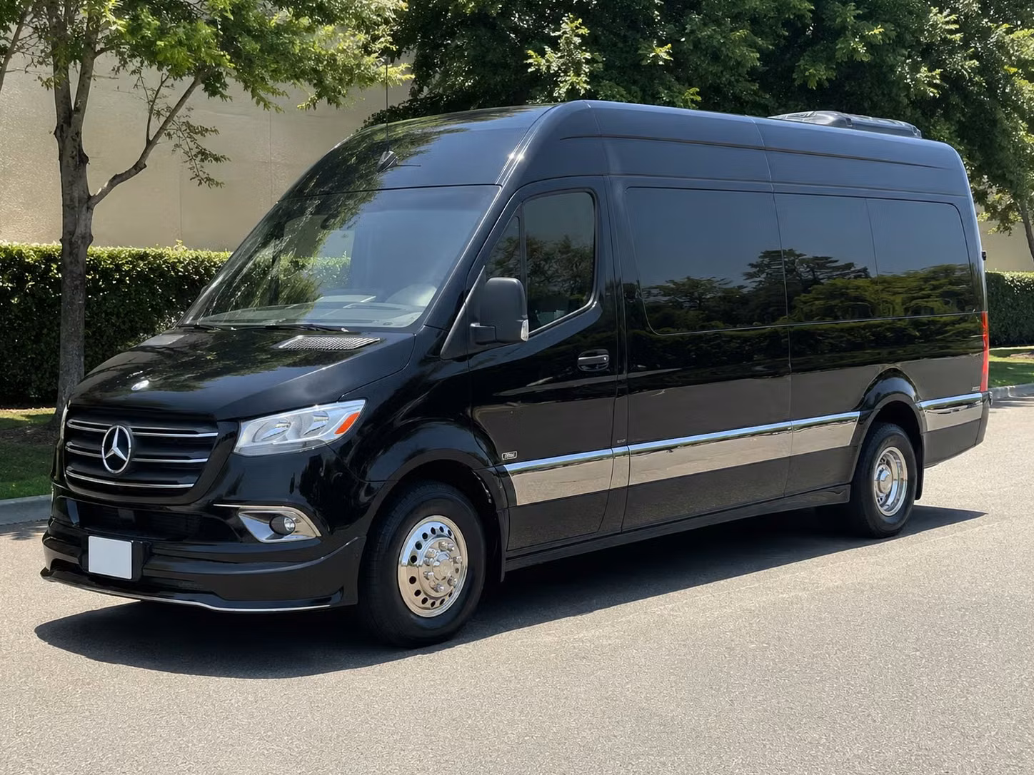 sprinter van with driver
